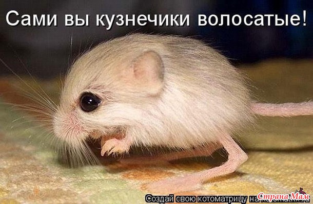    !