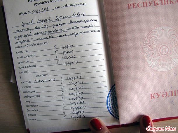 Пятнадцатый год