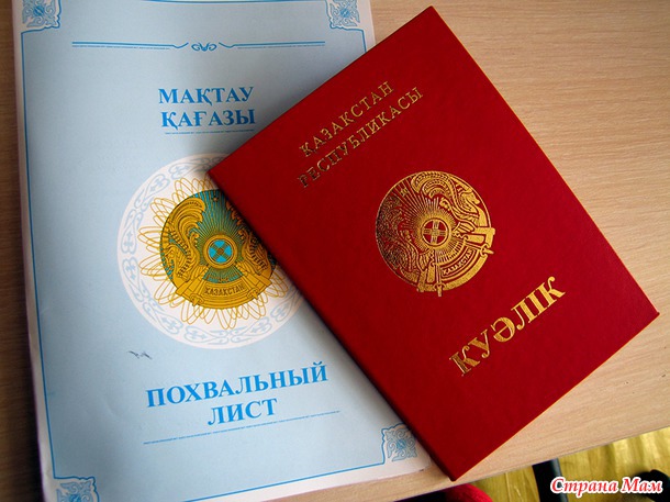 Пятнадцатый год