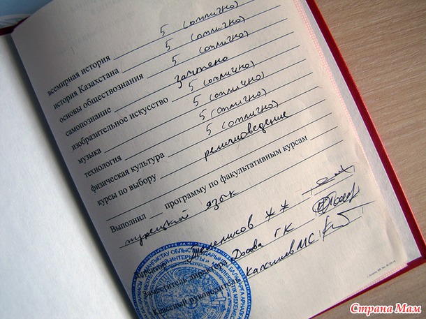 Пятнадцатый год