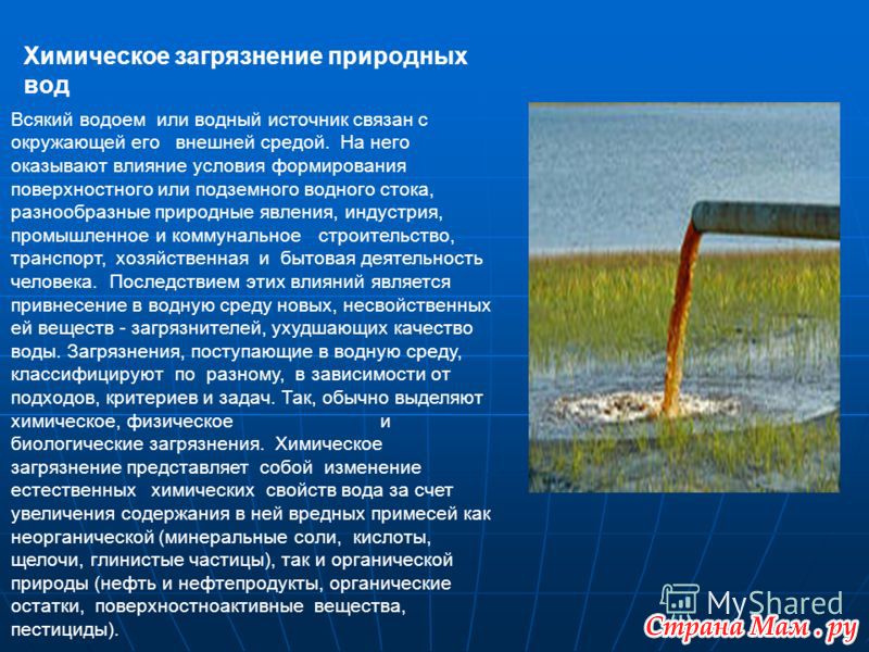 Название проекта экологические проблемы прибрежной зоны реки