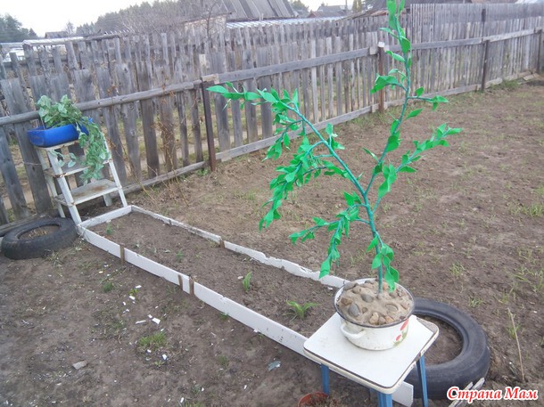 Дела дачные...