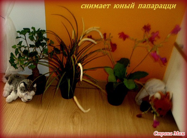 Юный папарацци