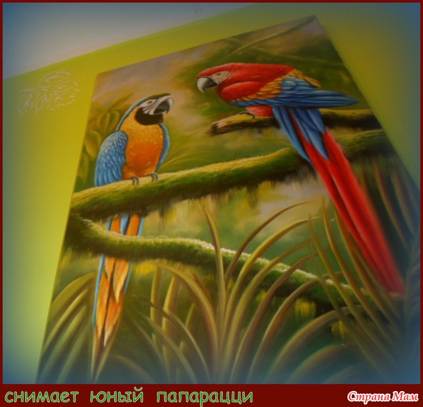 Юный папарацци