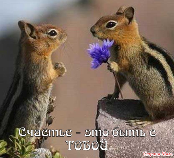 55 причин почему я люблю тебя! (55 картинок)
