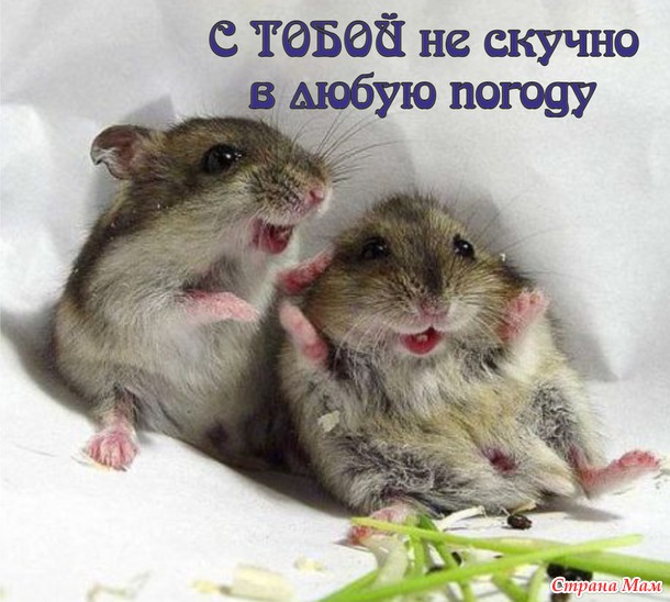 55 причин почему я люблю тебя! (55 картинок)