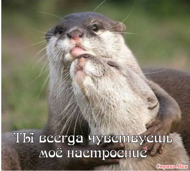 55 причин почему я люблю тебя! (55 картинок)