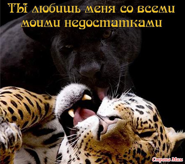 55 причин почему я люблю тебя! (55 картинок)