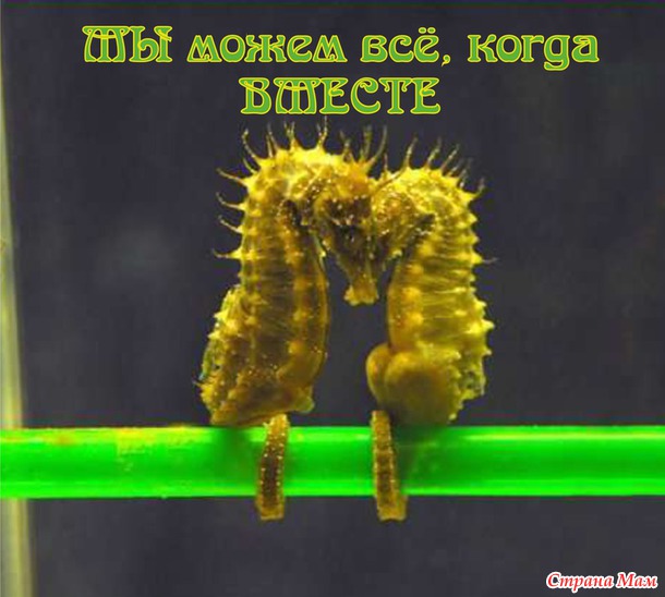 55 причин почему я люблю тебя! (55 картинок)