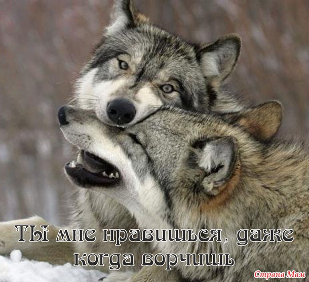 55 причин почему я люблю тебя! (55 картинок)
