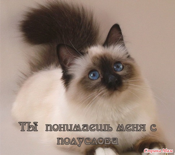 55 причин почему я люблю тебя! (55 картинок)