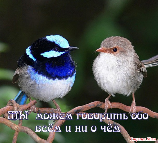 55 причин почему я люблю тебя! (55 картинок)