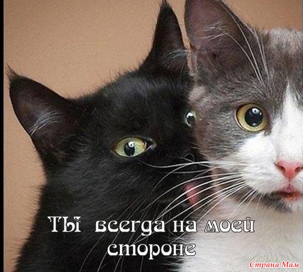 55 причин почему я люблю тебя! (55 картинок)