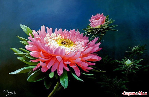 Художник Kang Jung Ho