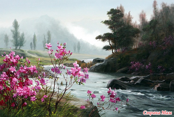 Художник Kang Jung Ho