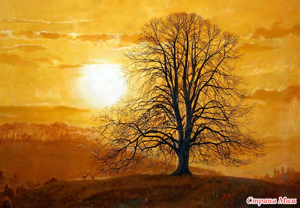 Художник Kang Jung Ho