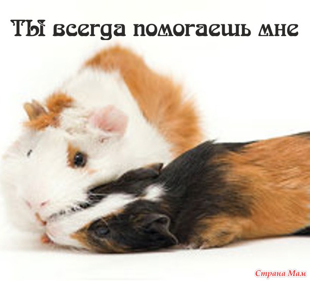55 причин почему я люблю тебя! (55 картинок)