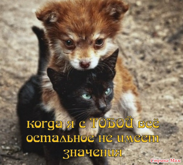55 причин почему я люблю тебя! (55 картинок)