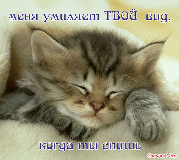 55 причин почему я люблю тебя! (55 картинок)