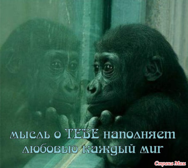 55 причин почему я люблю тебя! (55 картинок)