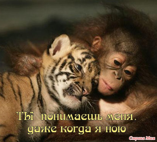 55 причин почему я люблю тебя! (55 картинок)
