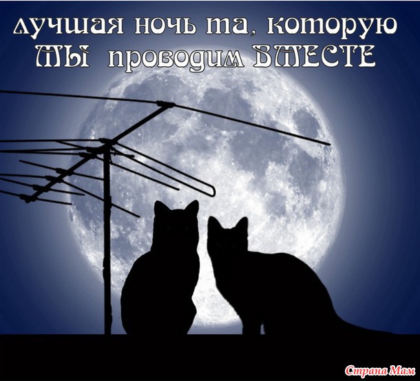 55 причин почему я люблю тебя! (55 картинок)