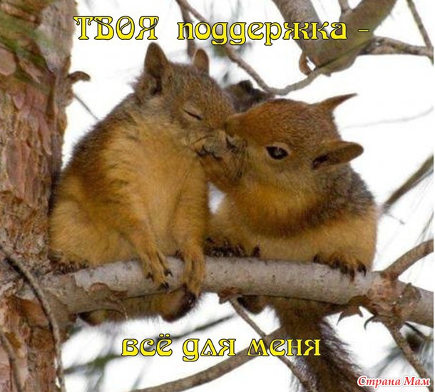 55 причин почему я люблю тебя! (55 картинок)