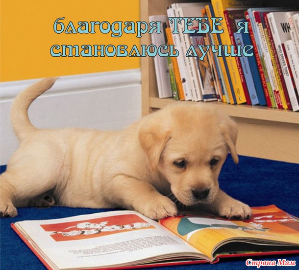 55 причин почему я люблю тебя! (55 картинок)