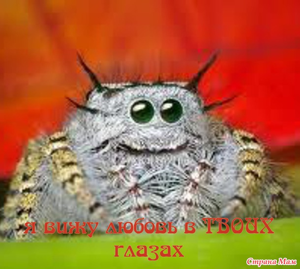 55 причин почему я люблю тебя! (55 картинок)