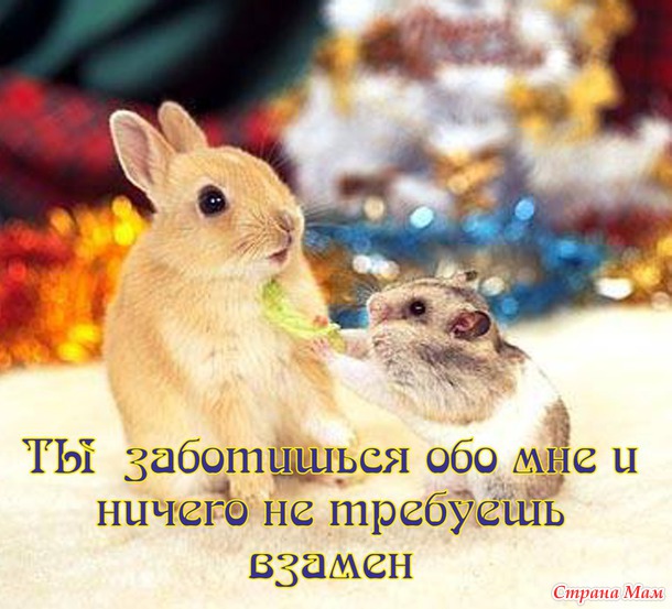 55 причин почему я люблю тебя! (55 картинок)
