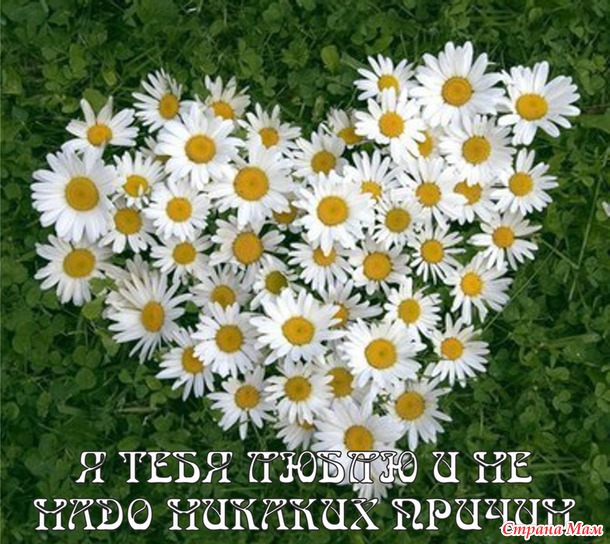 55 причин почему я люблю тебя! (55 картинок)