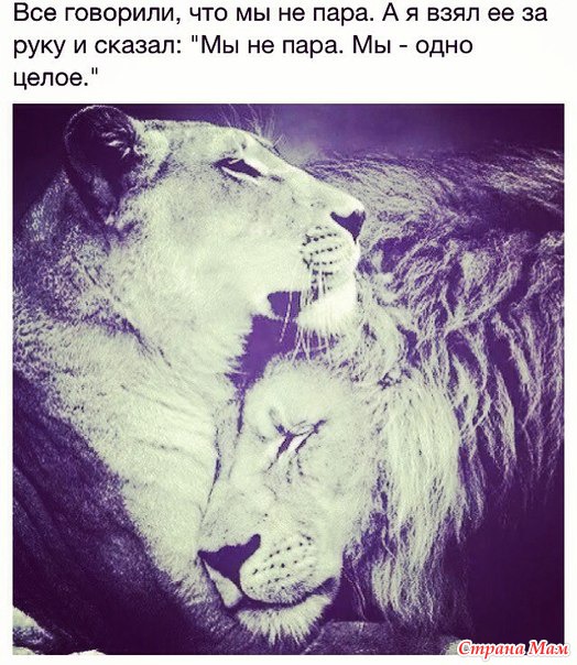 Помогите, подскажите, научите.