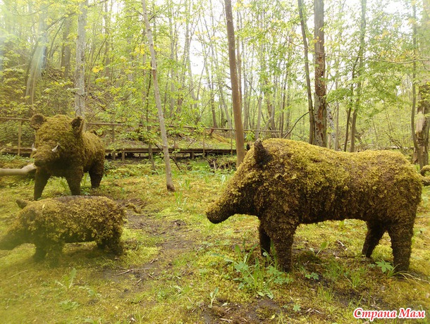... Гуляют там животные невиданной красы (с)