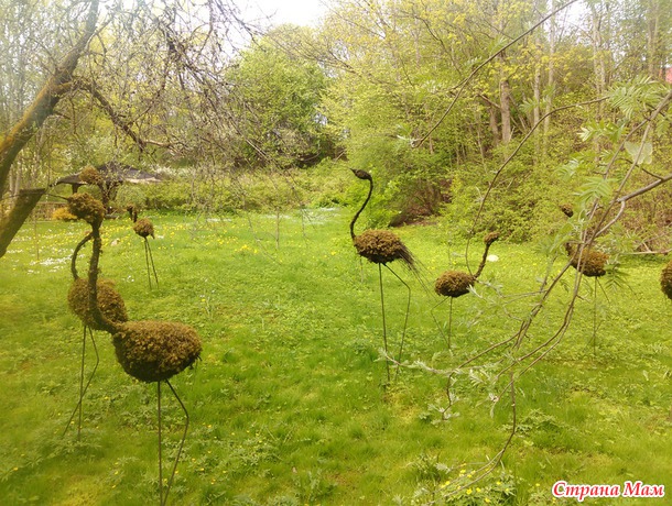 ... Гуляют там животные невиданной красы (с)