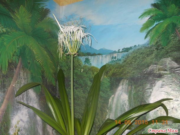 ������ � ���������� ������������ ���������