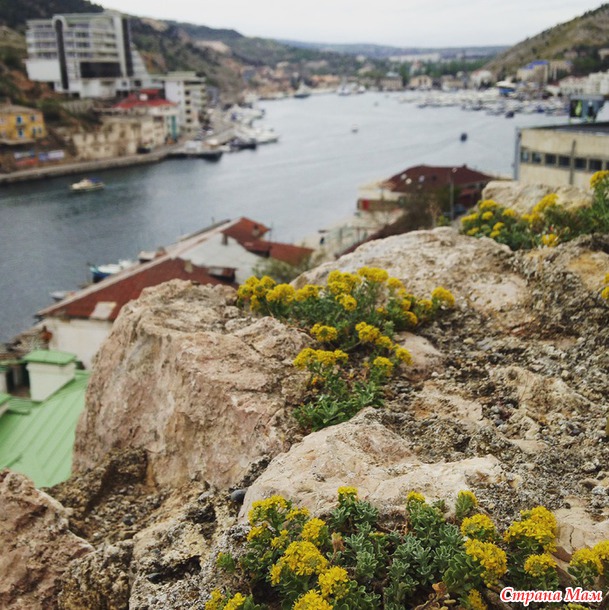 Майский Крым, ч. 2, Севастополь