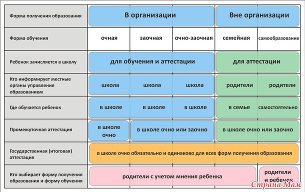 Личный опыт семейного обучения ребенка