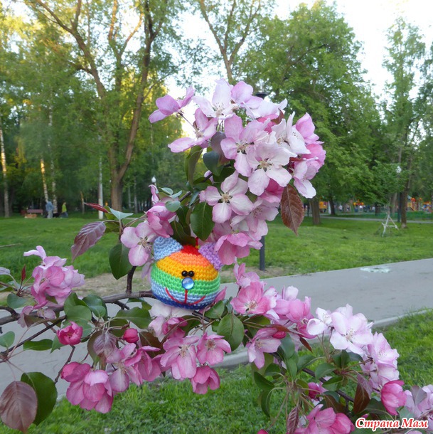 Радужное настроение!!! Или мягкая радуга!