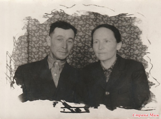 Фотографии