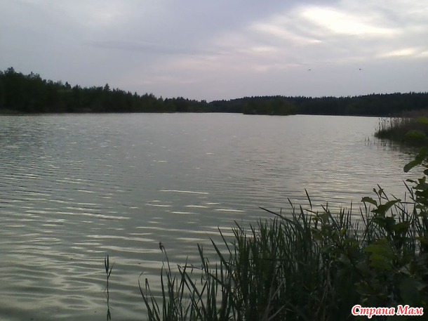 Отцвели мои цветочки.