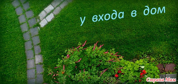 Нас радует весна