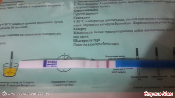 А может ли? Вот таким вопросом задаюсь сейчас...