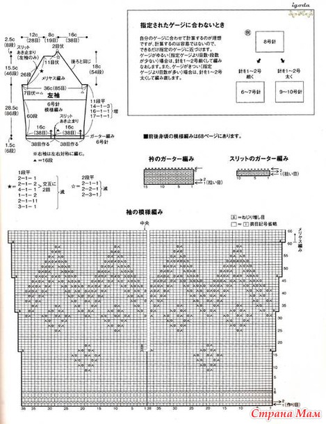  \   317765725_65847. .