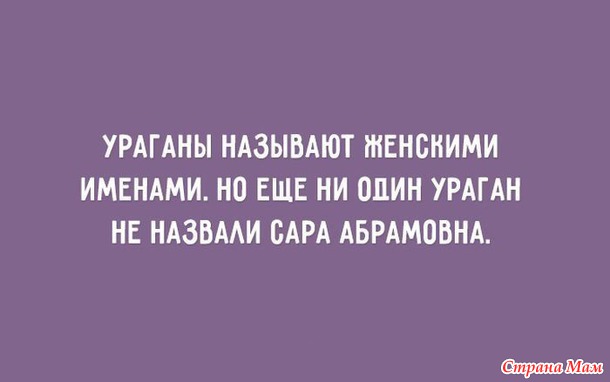 — Софочка, вы таки согласитесь стать моей женой? — Яша, немедленно поднимитесь с колен, не мните наши бруки!