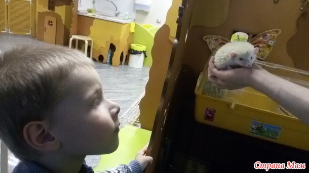 Зоопарк бугагашечка