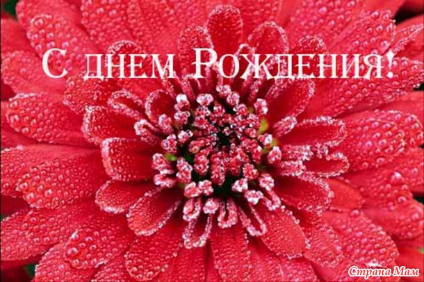 День Рождения Президента РФ