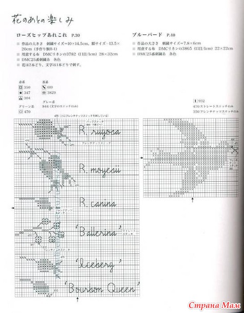 Продолжении эпопеи с шиповником. Дизайн Kazuko Aoki.