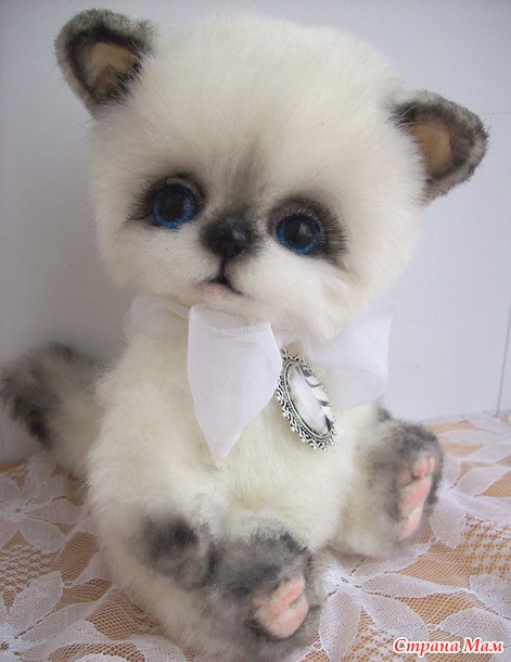 . Котики