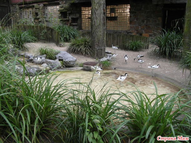 Zoo Duisburg( )
