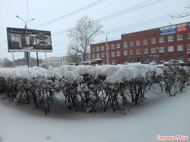 Зима наступила неожиданно) Омск!!! (ДОПОЛНИЛА)